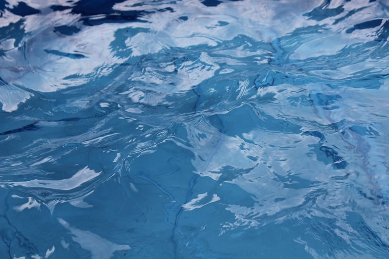 Swimming Mindfully